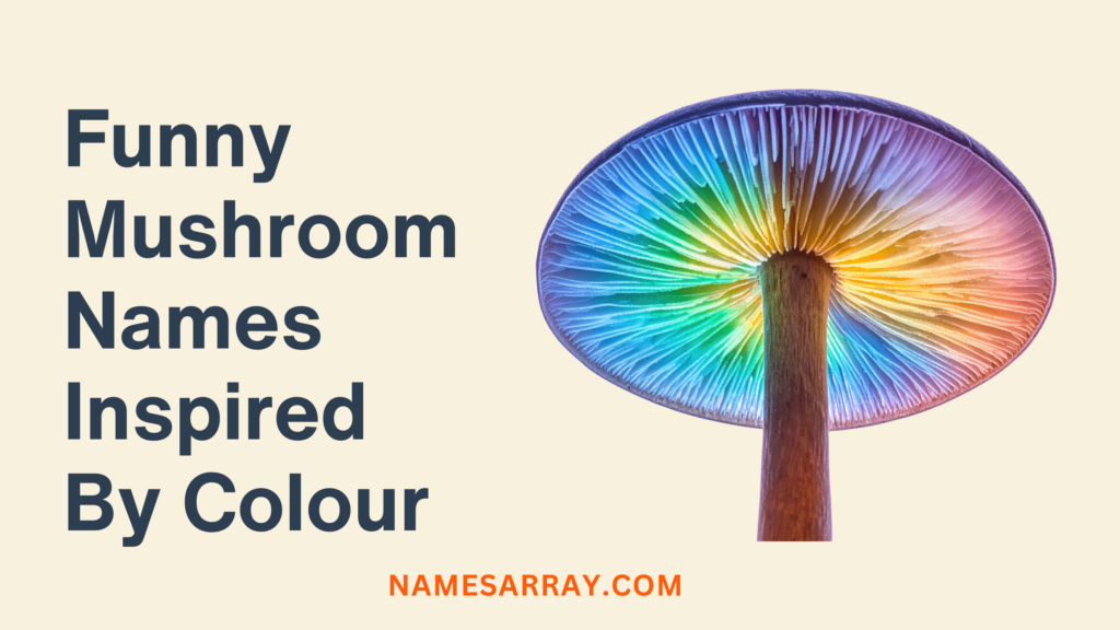 Funny Mushroom Names Inspired By Colour