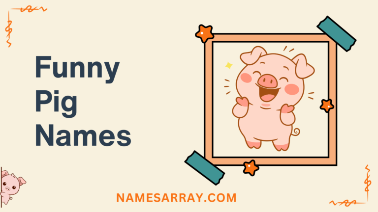 Funny Pig Names That Always Get a Laugh