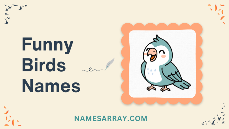 Funny bird names