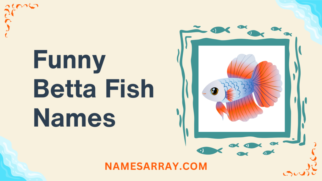 funny betta fish names