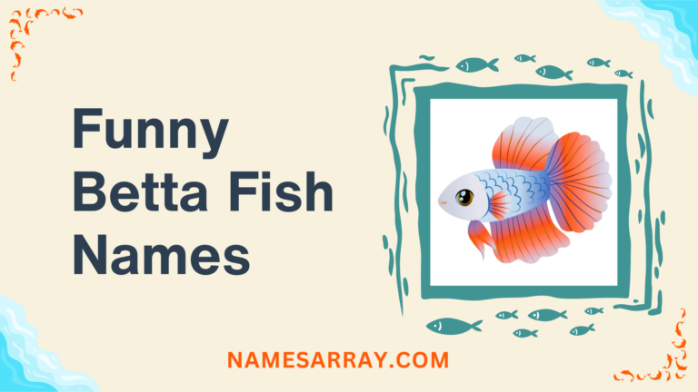 funny betta fish names