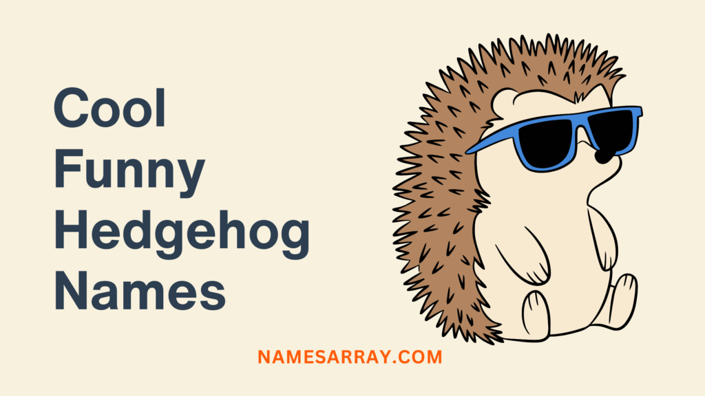 Cool Funny Hedgehog Names