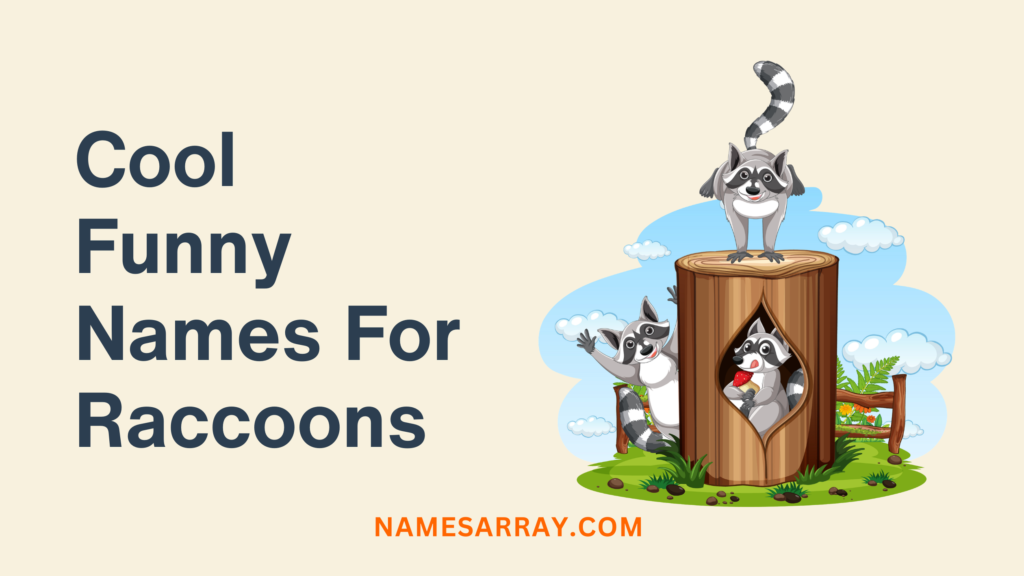 Cool Funny Names For Raccoons