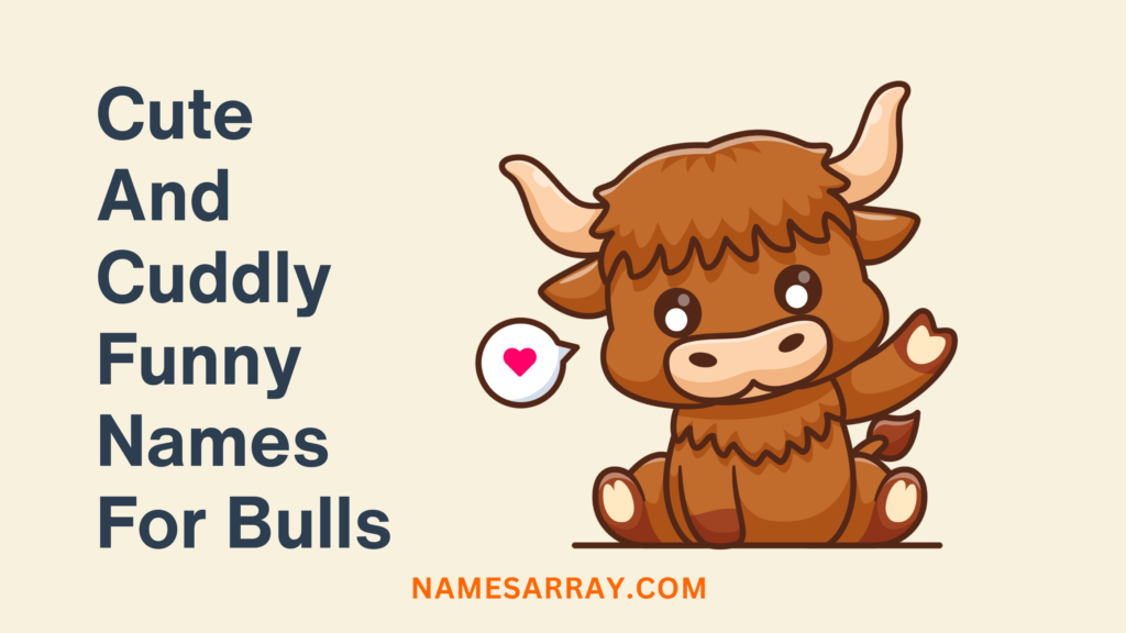 Cute And Cuddly Funny Names For Bulls
