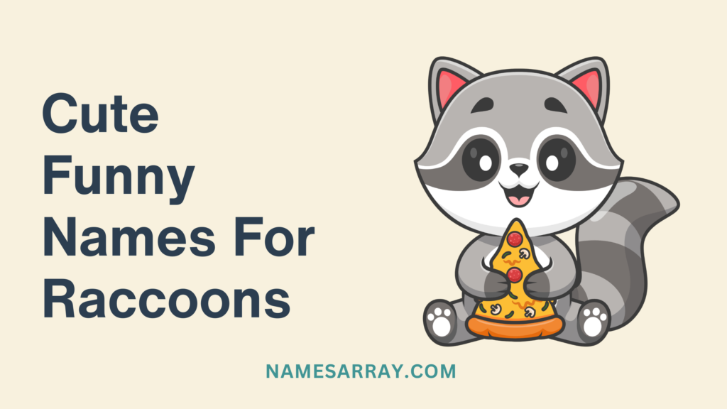 Cute Funny Names For Raccoons
