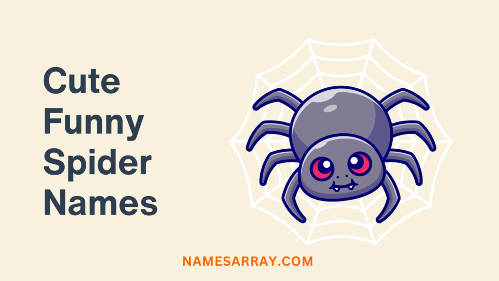 Spider cute and funny names
