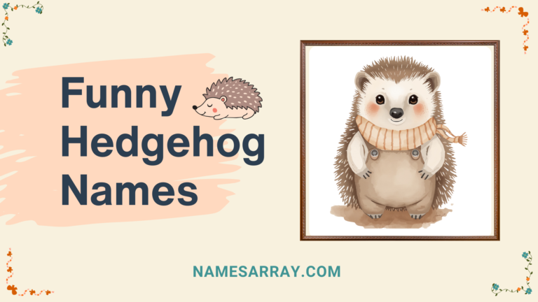 Funny Hedgehog Names
