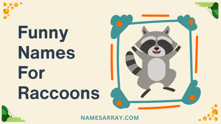 Funny Names For Raccoons