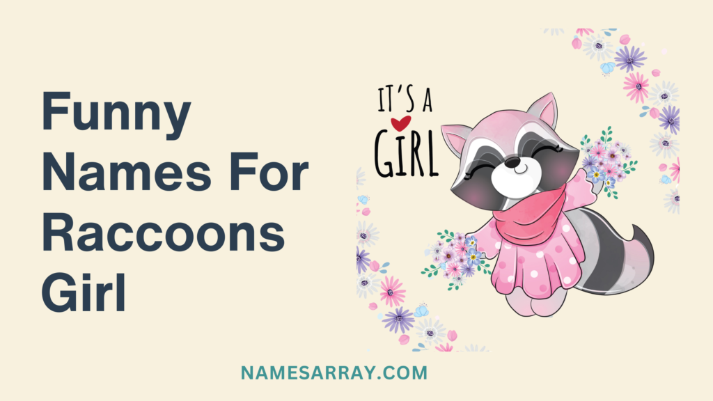 Funny Names For Raccoons Girl