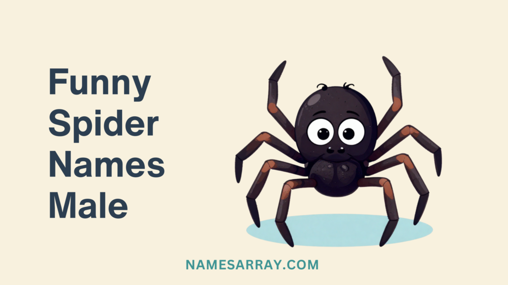 Funny names for male spider