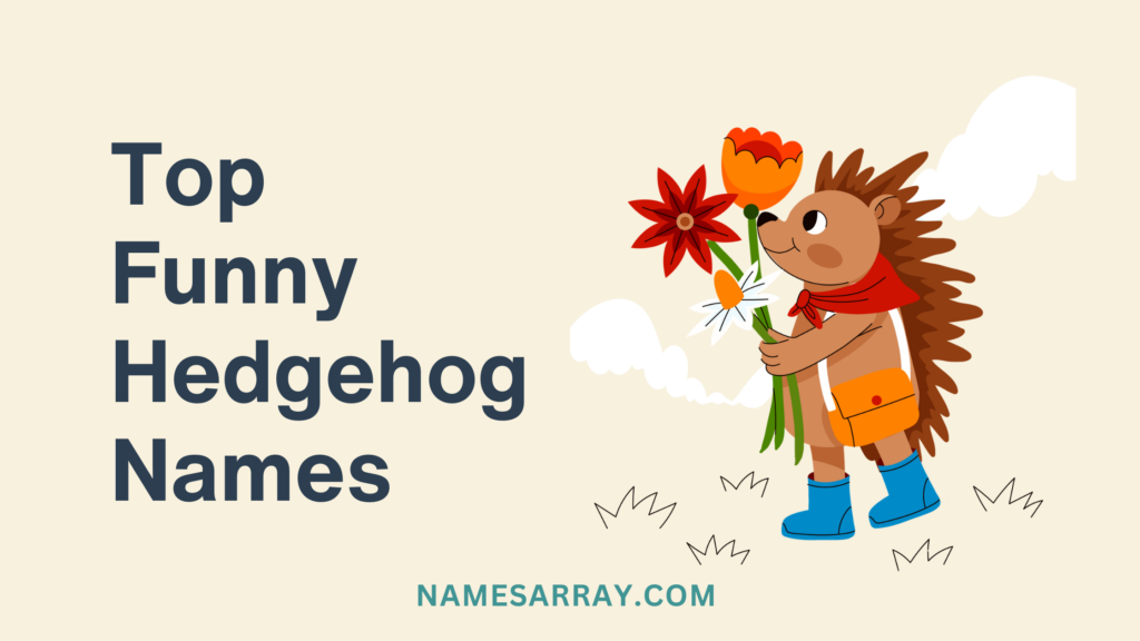 Top Funny Hedgehog Names