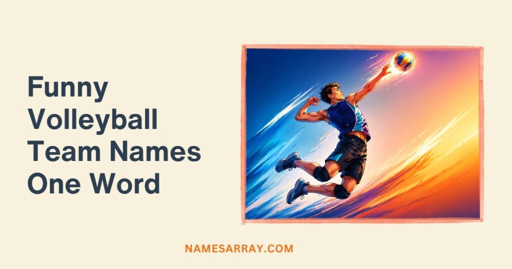 Funny Volleyball Team Names One Word