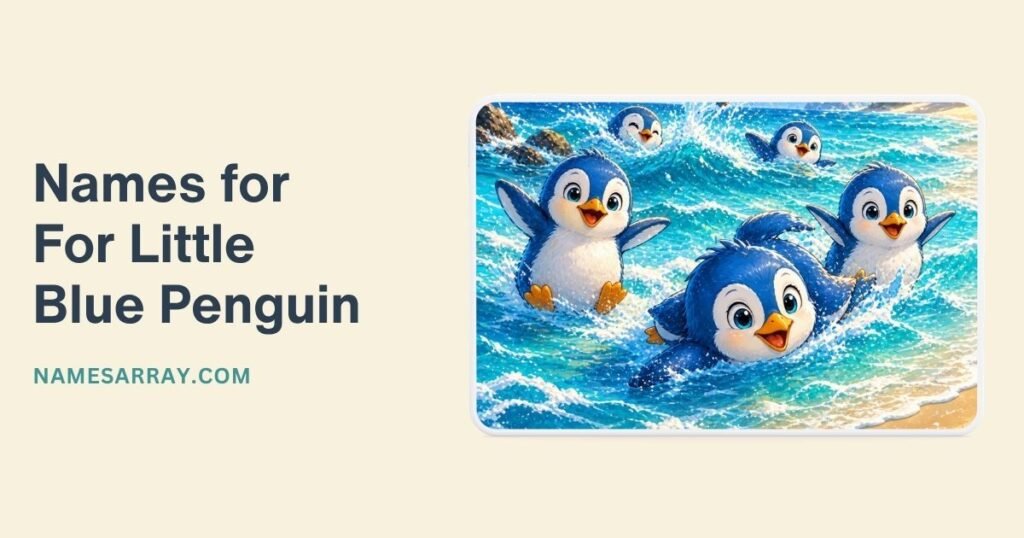 Names Especially For Little Blue / Fairy Penguins