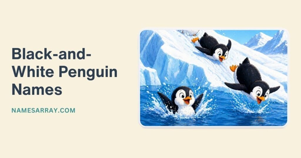 Black-and-White Penguin Names
