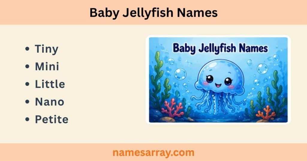 Baby Jellyfish Names