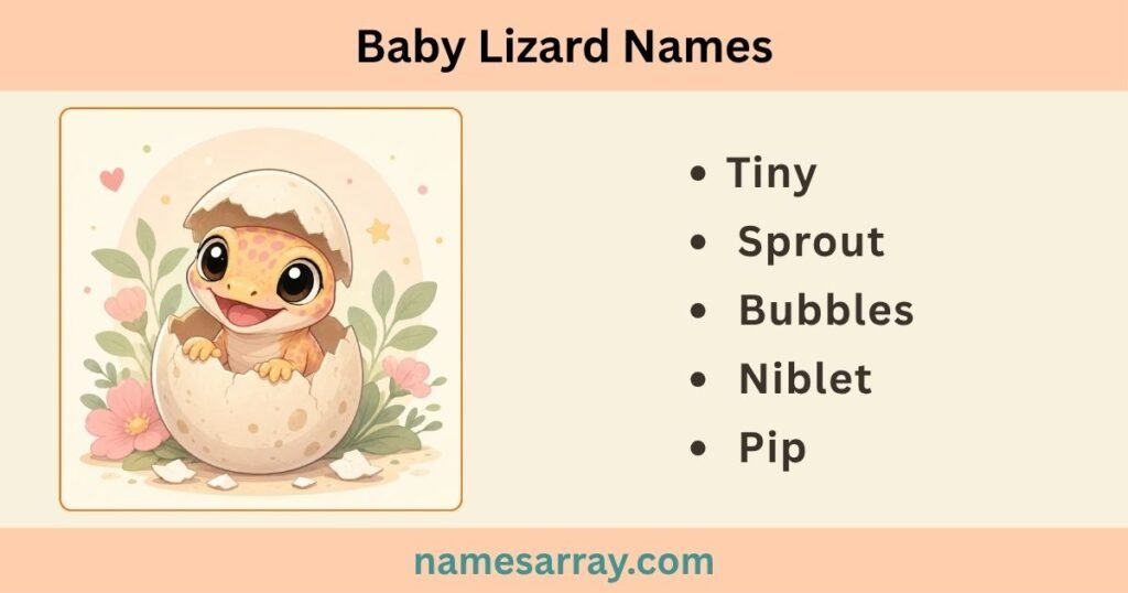 Baby Lizard Names