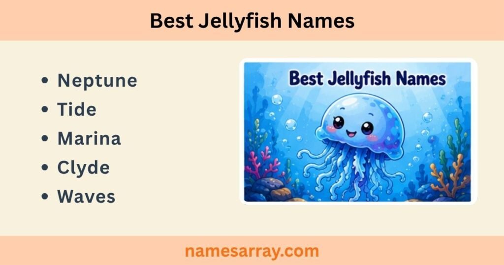 Best Jellyfish Names