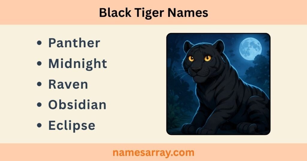 Black Tiger Names