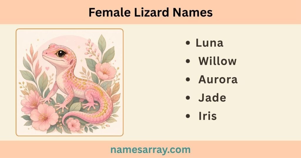 Lizard names girl