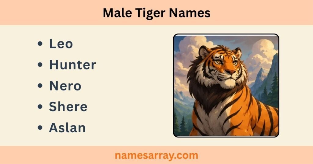 Tiger Names Male