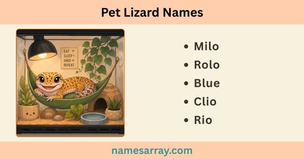 Pet Lizard Names