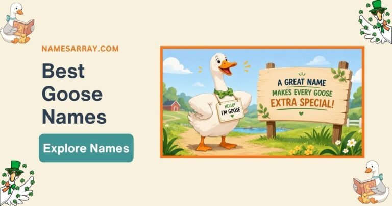 Funny Goose name