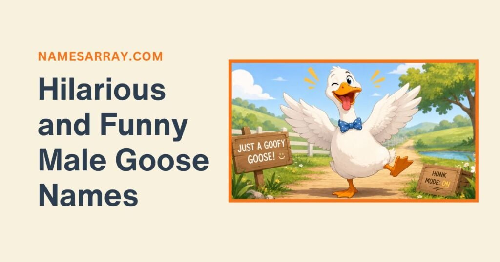 Hilarious and Funny Male Goose Names